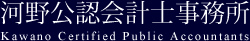 河野公認会計士事務所｜スタートアップやベンチャー、中小企業までビジョンと戦略に基づき事業計画達成をサポートする会計事務所
